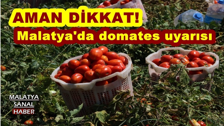 Malatya'da domates uyarısı