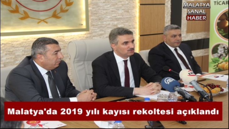 Malatya’da 2019 yılı kayısı rekoltesi açıklandı
