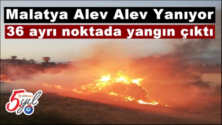 Malatya'da 36 ayrı noktada yangın çıktı