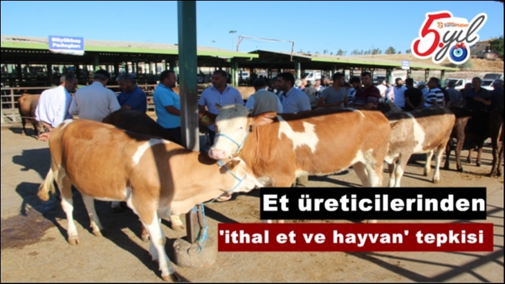 Malatya'da Et üreticilerinden ’ithal et ve hayvan’ tepkisi