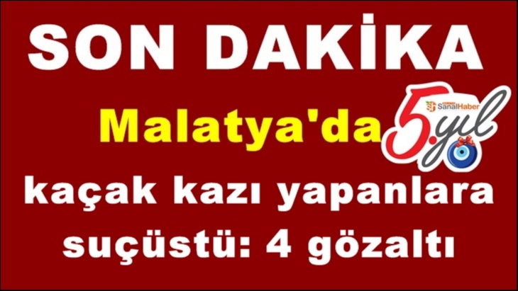 Malatya'da kaçak kazı yapanlara suçüstü: 4 gözaltı