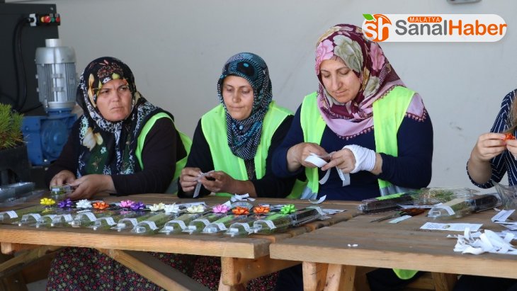 Nikah fidanları Sivas'ta üretiliyor