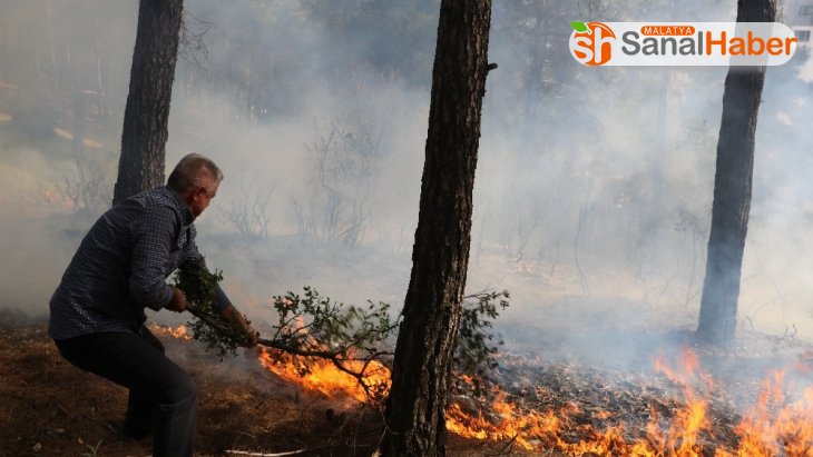 Orman yangınını itfaiye ve vatandaşlar söndürdü