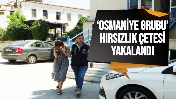 ‘Osmaniye Grubu’ hırsızlık çetesi yakalandı