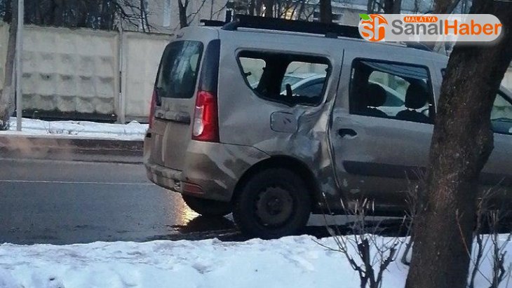 Rusya'da at ile otomobil çarpıştı