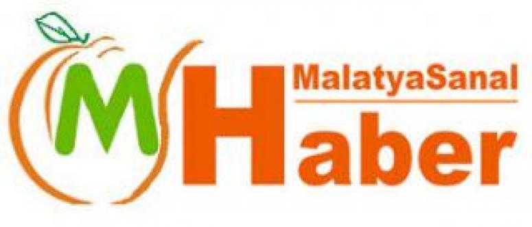 Malatya'da Otobüs Devrildi: 16 Yaralı