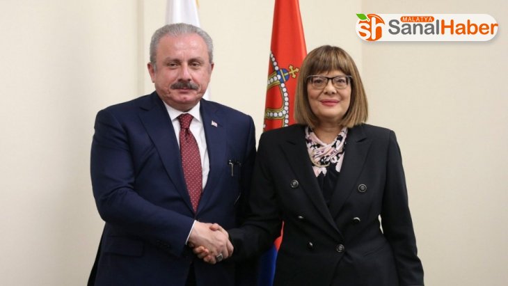 Şentop, Sırbistan Ulusal Meclis Başkanı Gojkoviç ile görüştü