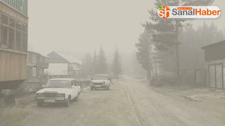 Sibirya'da 3 milyon hektar orman kül oldu
