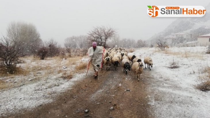 Sivas'ta kar, hayvancılıkla uğraşanlara zor anlar yaşatıyor