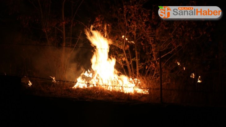 Sivas'ta otluk alanda yangın