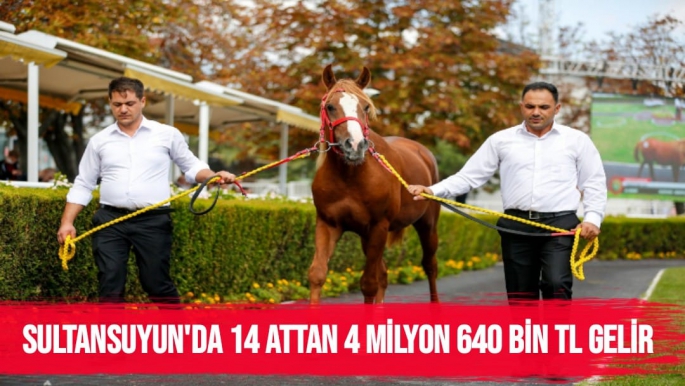 Sultansuyun'da  14 attan 4 milyon 640 bin TL gelir
