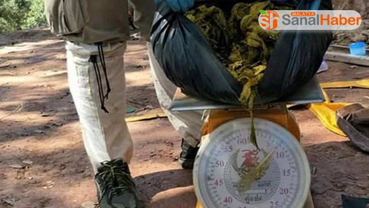 Tayland'ta geyiğin midesinden 7 kilogram çöp çıktı