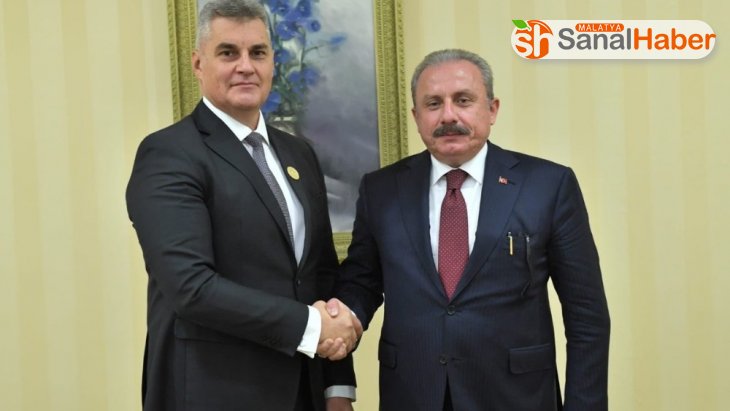 TBMM Başkanı Şentop, Karadağ Meclis Başkanı Brajovic ile görüştü