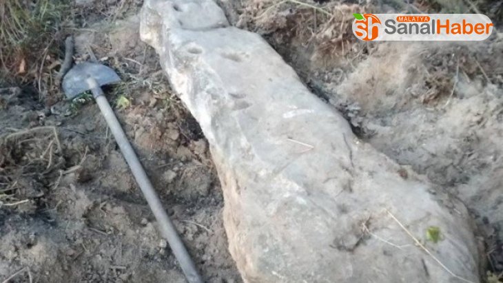 Ukrayna'da Bronz Dönemi'ne ait oymalı taş bulundu