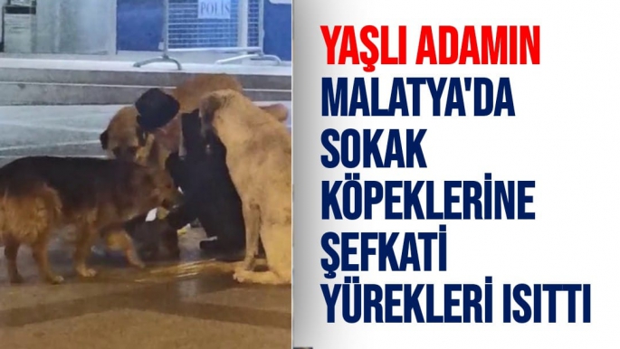Yaşlı adamın Malatya'da sokak köpeklerine şefkati yürekleri ısıttı