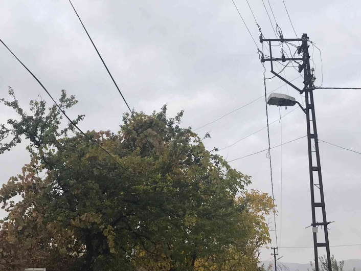 Ağaçların arasında kalan elektrik telleri tehlike saçıyor, vatandaşlar çözüm bekliyor
