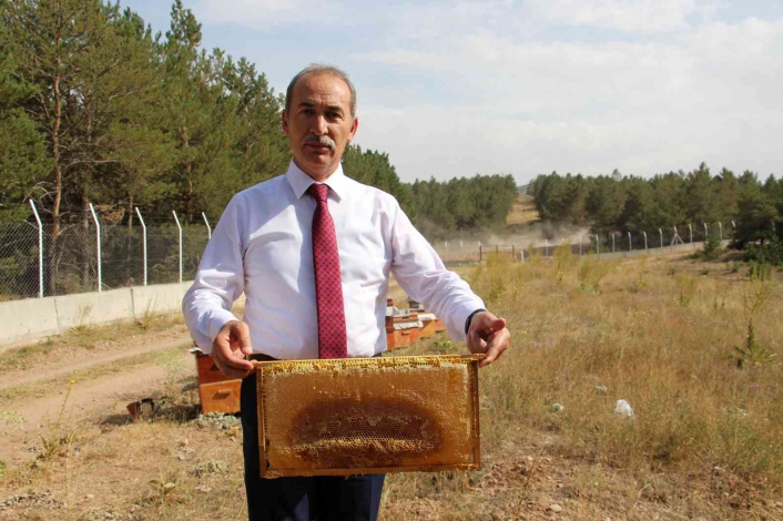 Akademik arılar sağıldı, üretim artarsa bal bursa dönüşecek
