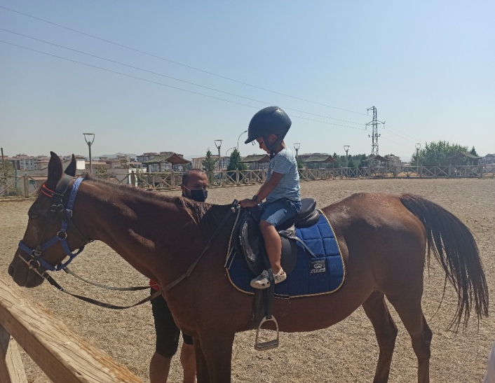 At çiftliğine çocuklardan yoğun ilgi
