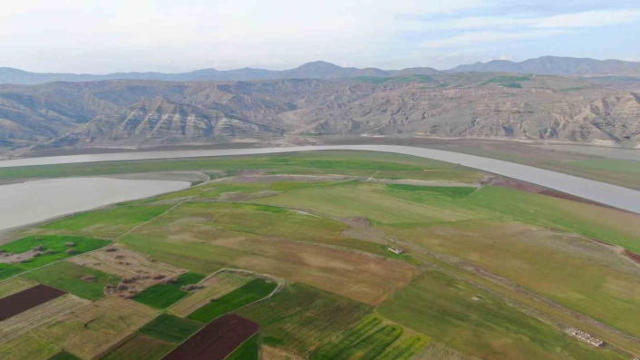 Baraj sahasını eken çiftçiler: 