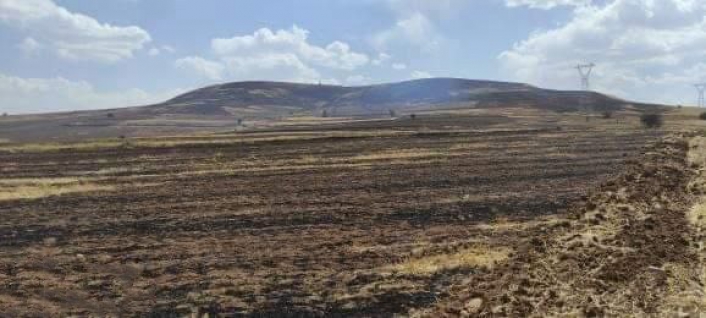 Binlerce hektar otluk alan yandı
