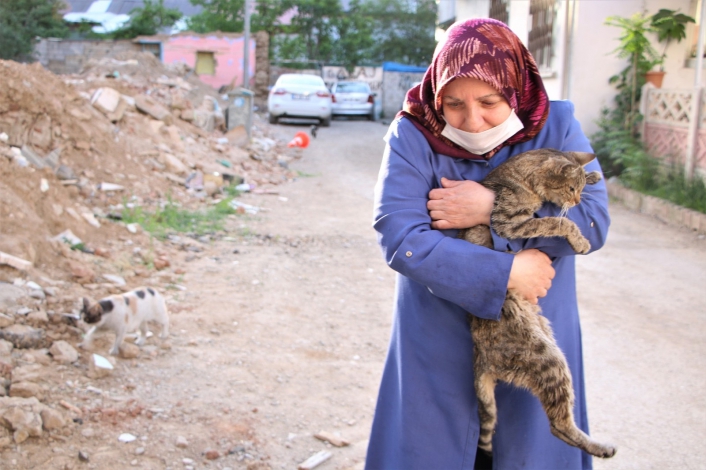Çocukları vefat eden Fatma teyze, 35 kediye anne şefkatiyle bakıyor
