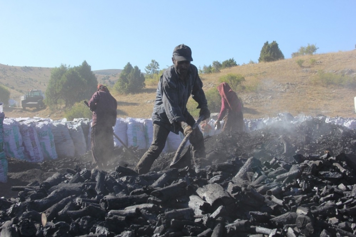 Covid-19 mangal kömürü üreticilerini vurdu
