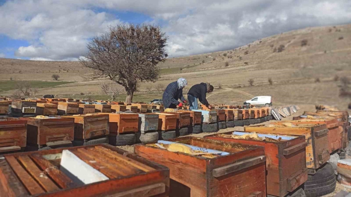 Deprem nedeniyle yüzlerce kovandaki milyonlarca arı telef oldu

