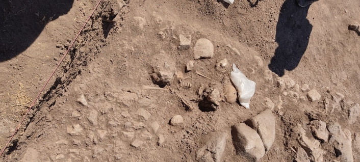 Domuztepe Höyüğü´nde Orta Çağ´da yaşamış çocuğun iskeleti bulundu
