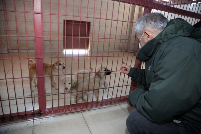 Elazığ Belediyesi Hayvan Bakım Evi ziyarete açılıyor
