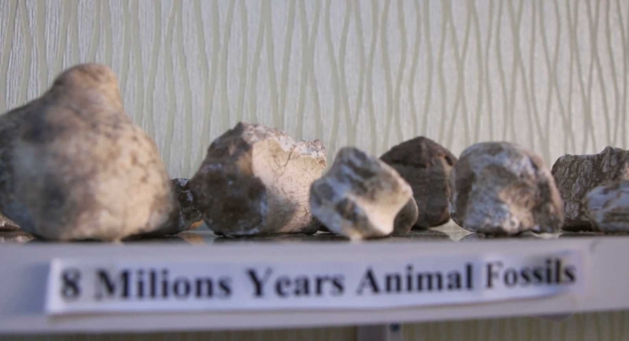 Elazığ´da 8 milyon yıllık hayvan fosilleri sergileniyor
