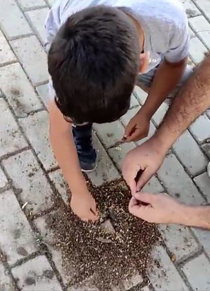 Elazığ´da baba ve oğlu karıncaları elleri ile besledi

