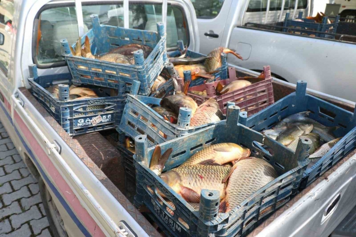 Elazığ´da ilk 6 ayda, 10 ton kaçak balık ele geçirildi
