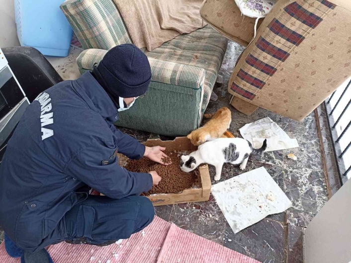 Elazığ´da jandarma ekiplerinden yürekleri ısıtan hareket: Sokak hayvanlarını elleri ile beslediler
