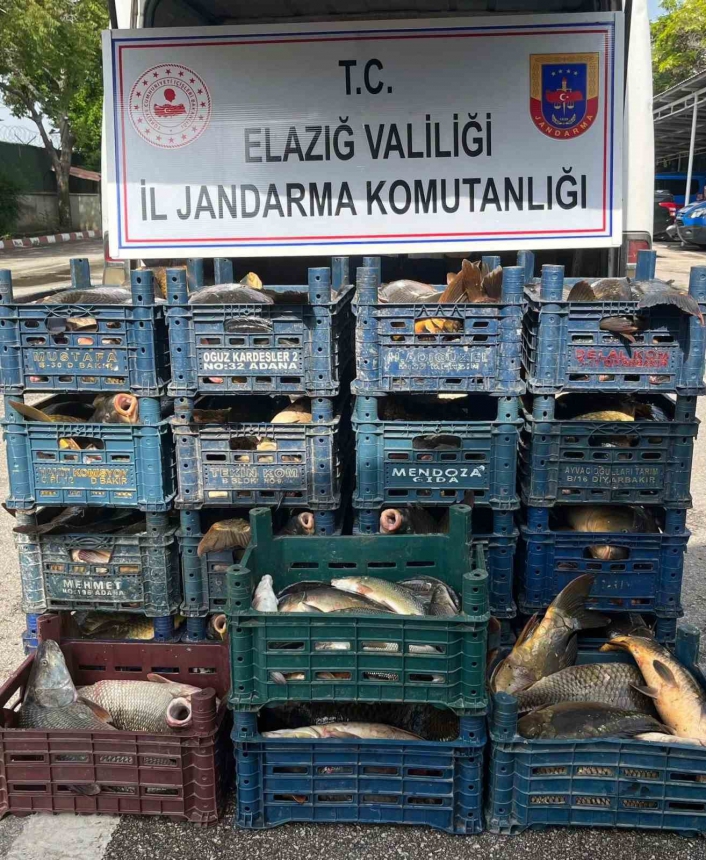 Elazığ´da kaçak avlanan 1 ton 400 kilo balık ele geçirildi
