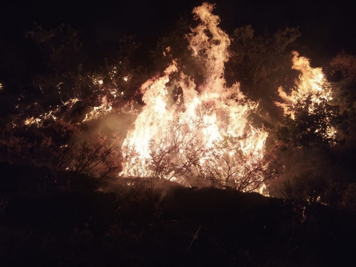 Elazığ´da orman yangınına müdahale sürüyor
