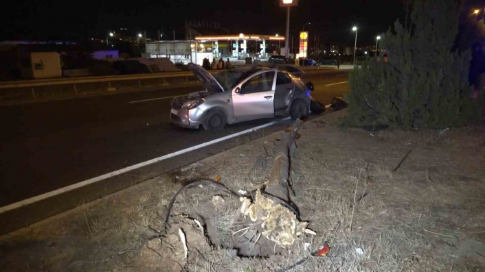 Elazığ´da otomobil ağaca çarptı: 3 yaralı
