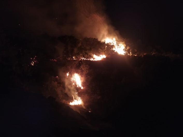 Elazığ´daki orman yangını 30 saatte kontrol altına alındı

