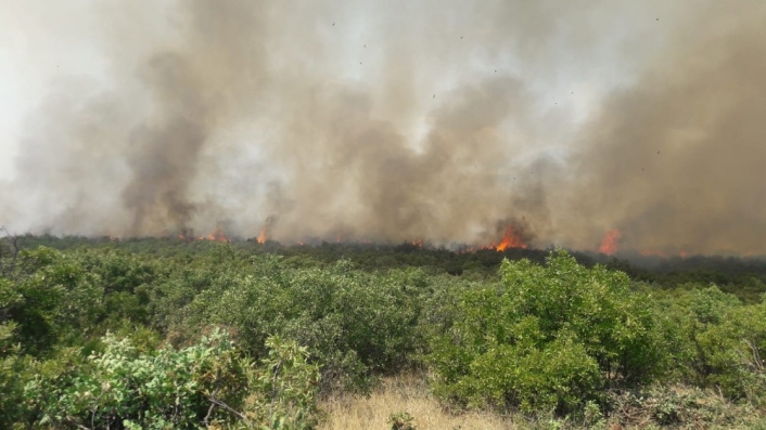 Elazığ´daki orman yangını kontrol altına alındı
