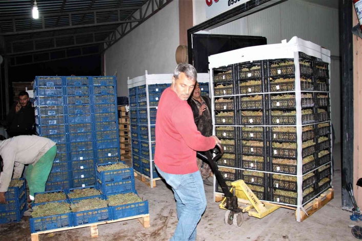 Elazığ´dan 8 ülkeye 3 bin ton üzüm ihracatı
