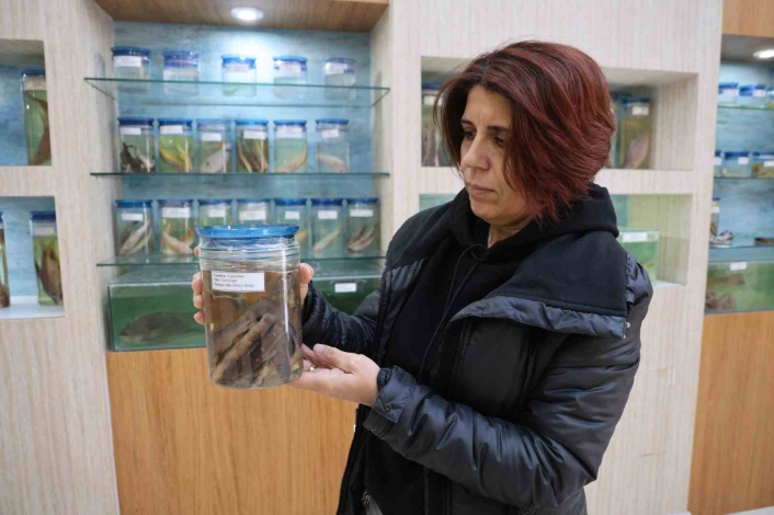 Elazığdaki Balık Müzesi büyük ilgi görüyor
