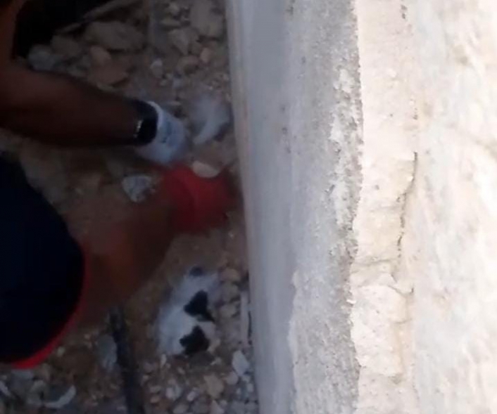 Enkaz altında kalan kedi yavrularını itfaiye kurtardı
