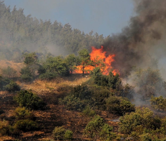 Kahramanmaraş´ta 1 hektar orman alanı yandı

