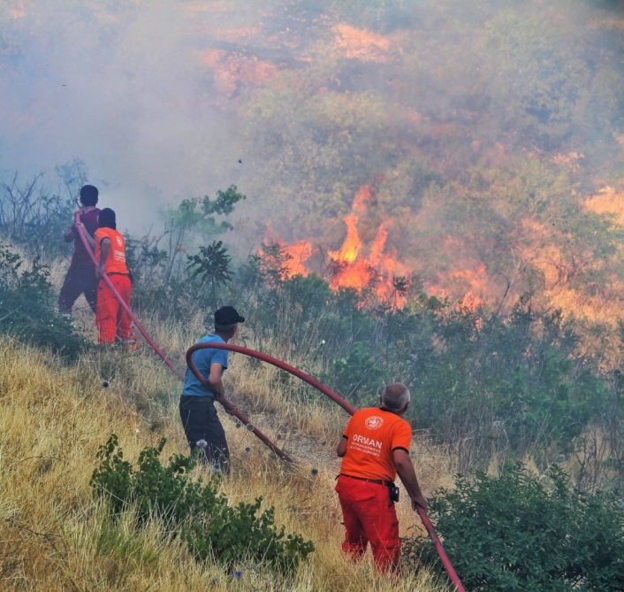 Kahramanmaraş´ta 10 hektar orman zarar gördü
