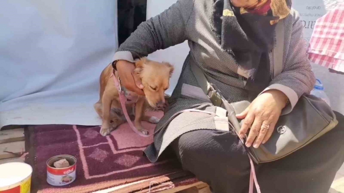Kahramanmaraş´ta depremde kendisini kurtaran köpeğiyle beraber çadır kentte yaşamını sürdürüyor

