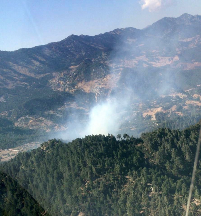Kahramanmaraş´ta orman yangınında 4 hektar alan zarar gördü
