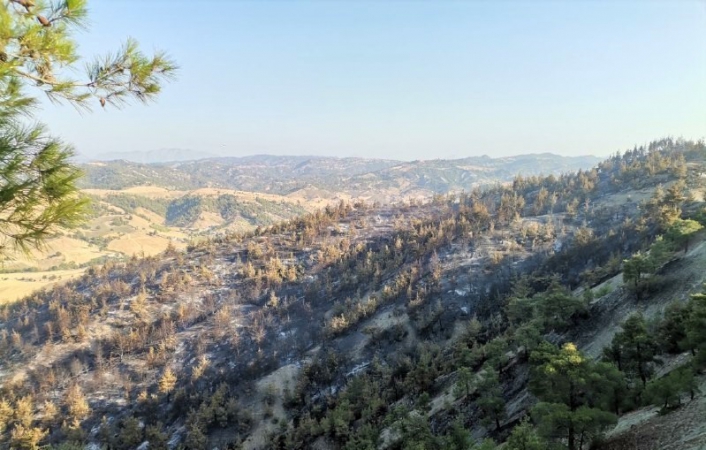 Kahramanmaraş´taki orman yangınında 50 hektar alan zarar gördü
