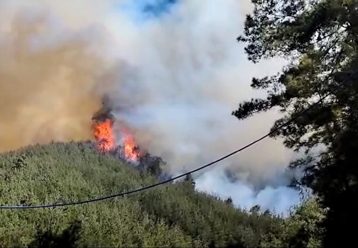 Kahramanmaraş´taki yangında 35 hektar ormanlık alan zarar gördü
