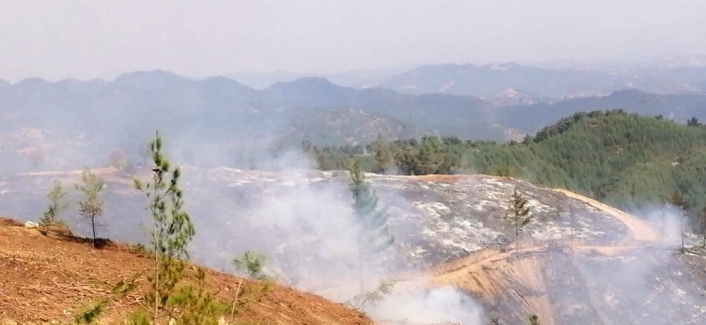 Kahramanmaraş´taki yangınlarda 65 hektar orman alanı zarar gördü
