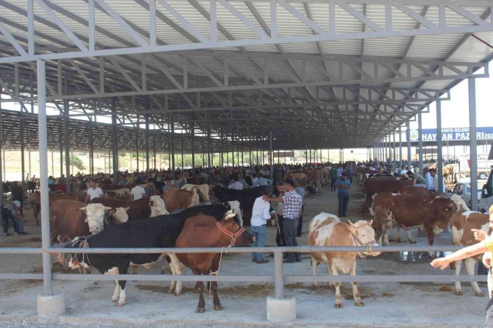 Kahta hayvan pazarı şap hastalığı tedbirleri çerçevesinde kapatıldı
