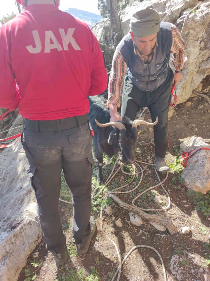 Kayalıklarda mahsur kalan keçi kurtarıldı
